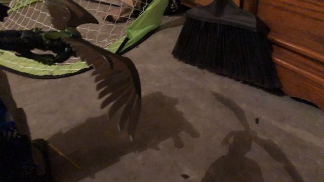 Vulture strikes again смотреть онлайн