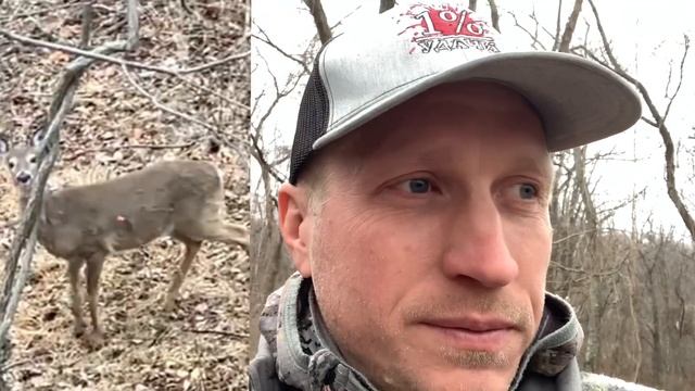 Стервятники почти сожрали добытого мной оленя! Такая вот охота с луком в Америке. смотреть онлайн