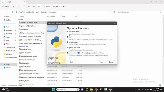 How to install Python 3.11.0 on Windows 10 смотреть онлайн