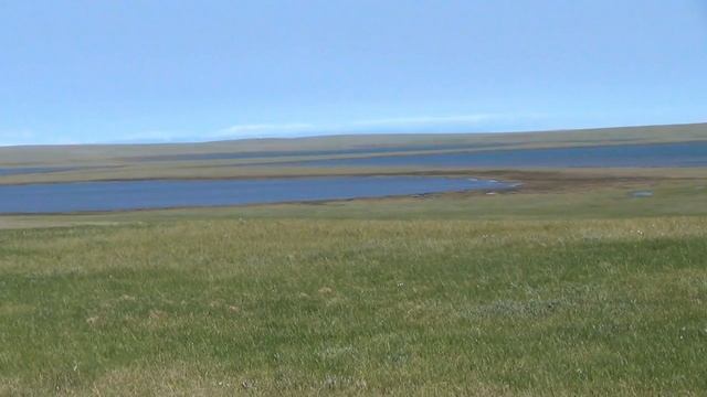 Марина Галкина: уникальное автономное одиночное путешествие через полуостров Таймыр, 2021г.