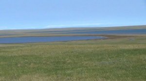 Марина Галкина: уникальное автономное одиночное путешествие через полуостров Таймыр, 2021г.