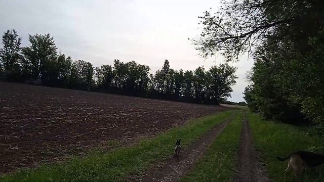 Оберег на двор. Старинный совет. смотреть онлайн