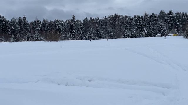 Крал Панчер макси 3 6.35 PCP винтовка.Kral Puncher Maxi 3 стреляем на 70 метров.Отдых