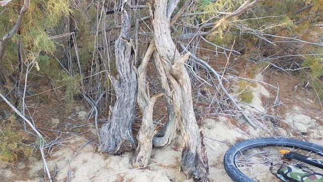 Впадина Карагие день первый - 11 серия смотреть онлайн