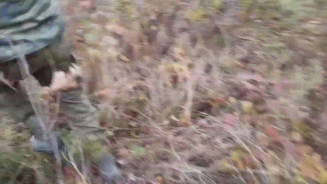 Никто не убежит от Доктора Уткина  Всех найду и провакцинирую.Укол от Уткина