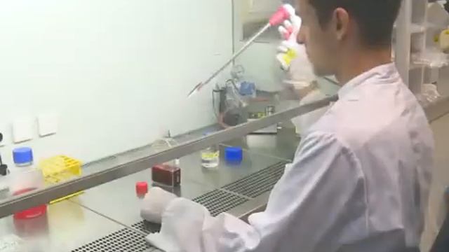 Isolation and Ex Vivo culture of T Cells | Protocol Preview смотреть онлайн