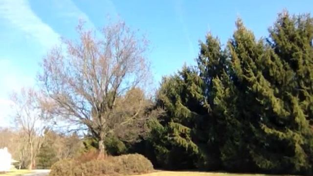 Skate footage for Nike SB смотреть онлайн