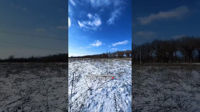 Должанская 🕊️ #должанская #ейск #кубань #азовскоеморе #море #зима #winter #россия #russia #природа смотреть онлайн