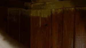 Водная морилка для дерева. Zerwood MV