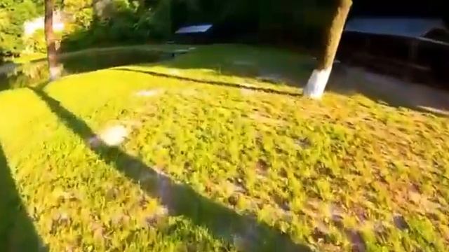 Пикник Парк Пятигорск смотреть онлайн