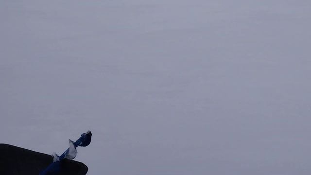 помор толкач 1700/650/20