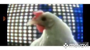 Chicken Dance песня курицы