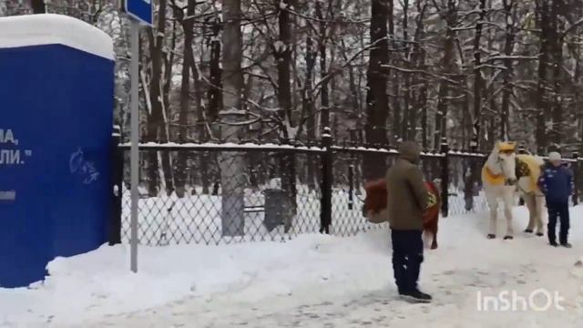 Встретились с подругой/ Поднимаем себе настроение ? возьмём бутылку и пойдём смотреть онлайн