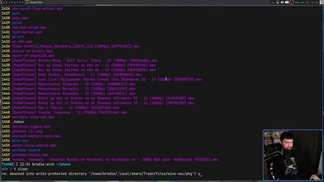 CLIfm: Is This Really A Terminal File Manager?? смотреть онлайн