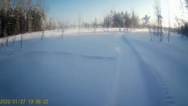 В посёлок пришли волки. Довожу сруб. смотреть онлайн