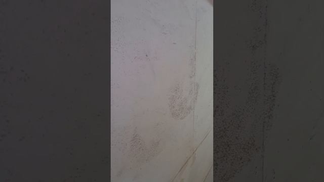 Москва, улица Сухонская, дом 7, подъезд 4, состояние лестничного марша смотреть онлайн