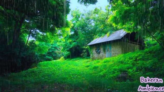 Best Rain Sounds For Insomnia, Sleeping Within 10 Minutes White Noise Lullaby ASMR - Bird chirping смотреть онлайн