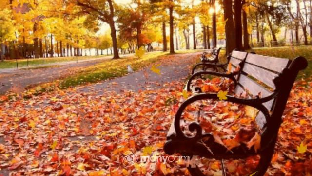 Бот без меня + hi, чай, кофе, добро, мир ☕👈 смотреть онлайн