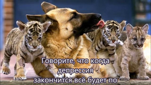 Что следует говорить людям с депрессией !!!! ВАЖНО !!!! смотреть онлайн