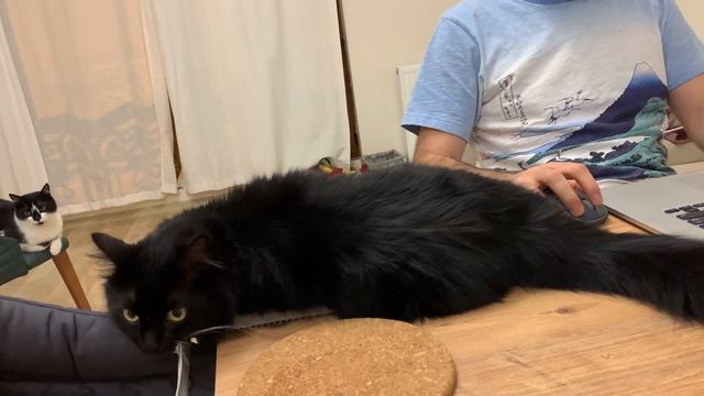 Daddy!! PC game again? Look at me. смотреть онлайн