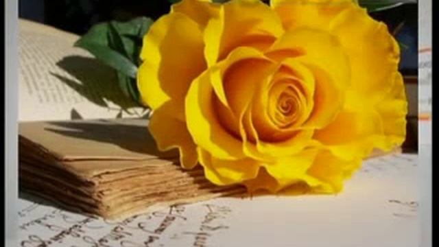 цветочные женские имена смотреть онлайн