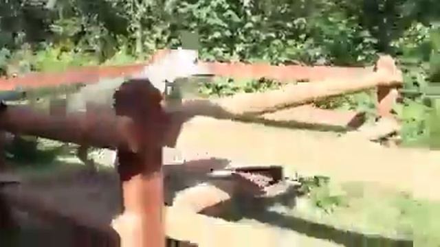 Пес Паркурист смотреть онлайн