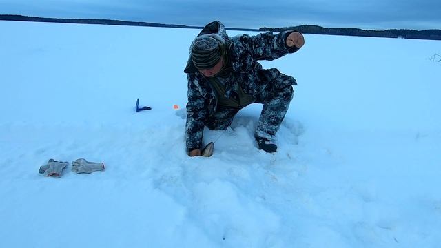 Судак на озере Янисъярви в Карелии смотреть онлайн