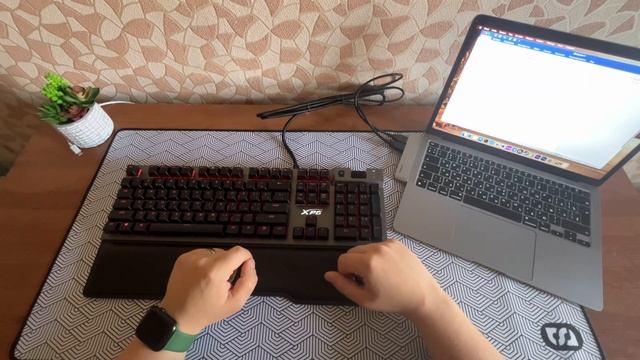 Обзор XPG Summoner Игровая клавиатура с RGB и Cherry mx переключателями! смотреть онлайн