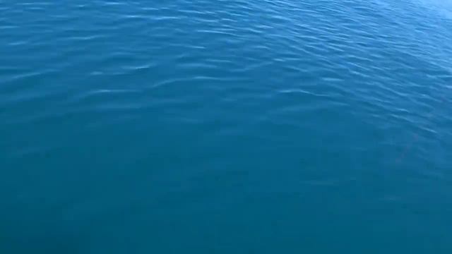 Spectacular bag of Snapper, Gurnard and Trevally (Hawkes Bay Kayak Fishing) смотреть онлайн