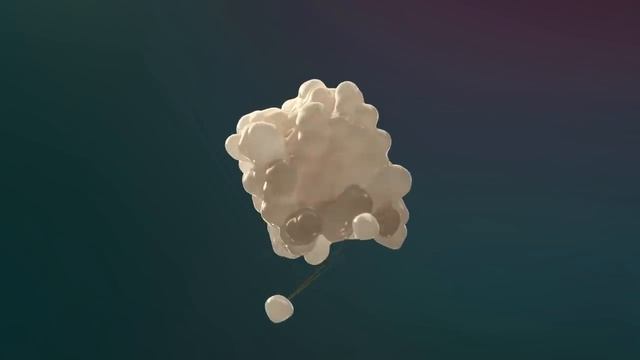 Comment fonctionne le système digestif humain ? (Animation) смотреть онлайн