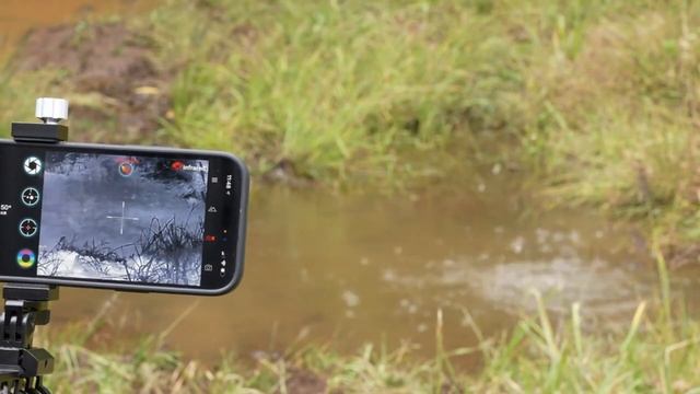 infiray T2 pro mount on the airgun to shoot rabbit or pigeon or bird смотреть онлайн
