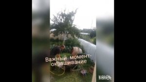 Щепа декоративная своими руками