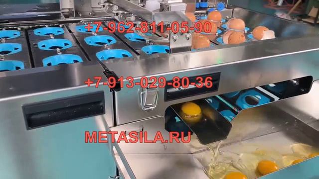 Машина для отделения белка от желтка (сепаратор для яиц)