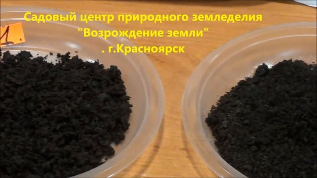 Что добавить в почвосмесь для рассады? смотреть онлайн