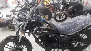Мотоцикл Regulmoto SK150 8