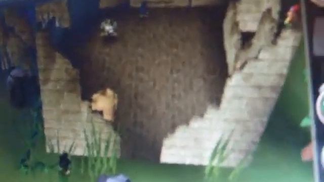 ape atoll adventures 2 смотреть онлайн