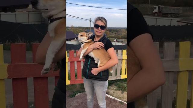 отзыв жительницы Татьяна п.Грузино Парк смотреть онлайн