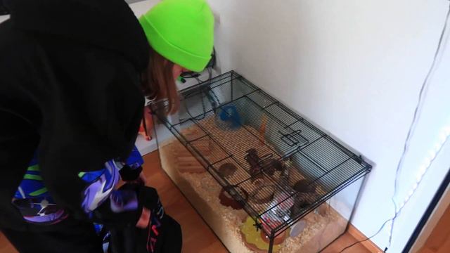 ДЕНЬ 3 / Подарочек ОЧЕНЬ КСТАТИ / Опять печем ВКУСНЯШКУ / ОБМЕН ПОДАРКАМИ смотреть онлайн