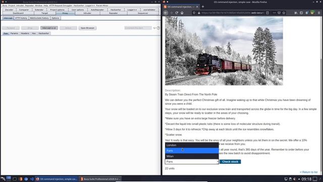 OS command injection, simple case (Video solution, Audio) смотреть онлайн