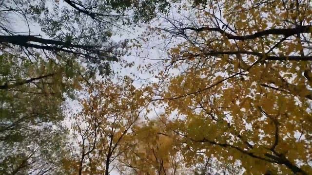 "Я прошу Не грусти" ( услышал эту песню у Евгения Шахрая - очень понравилась) смотреть онлайн
