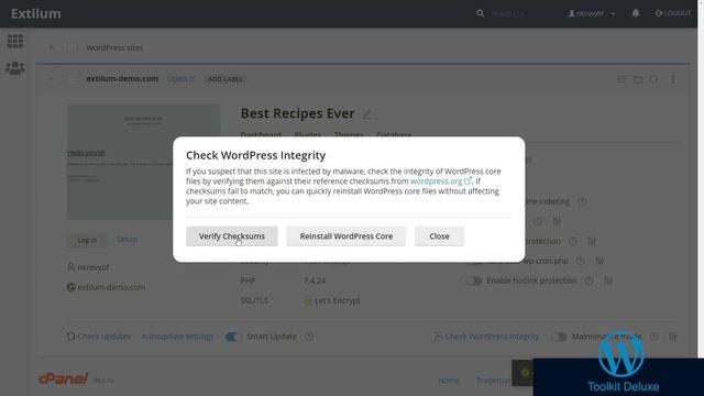 How to Check WordPress Integrity with the WordPress Toolkit - cPanel - Extilum Hosting смотреть онлайн