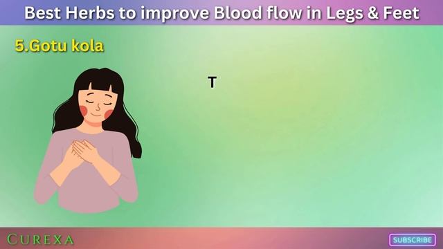 10 Miracle Herbs to Supercharge Your Leg Circulation NOW! смотреть онлайн