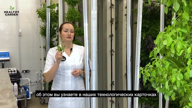 Франшиза экофермы Healthy Garden смотреть онлайн