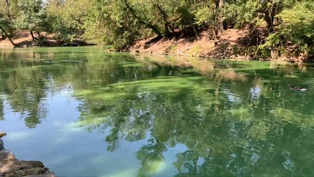 Askaniya Nova Zoo in nature reservation. Зоопарк у Асканія Нова. Askania'daki hayvanat bahçesi. смотреть онлайн