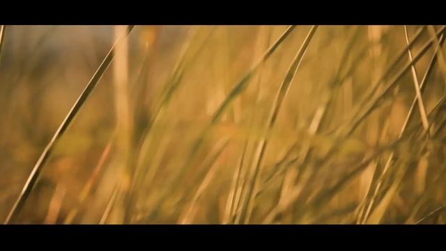 The 16 Islands of The Bahamas смотреть онлайн