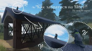 КАК ЗАБРАТЬСЯ НА МОСТ В WC:UE в Роблокс? Warrior Cats: Ultimate Edition - Roblox