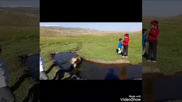 Струны Мысли