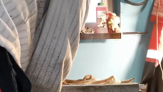 Перетопка воска. Часть 1. Отжим с помощью центрифуги без парогенератора смотреть онлайн