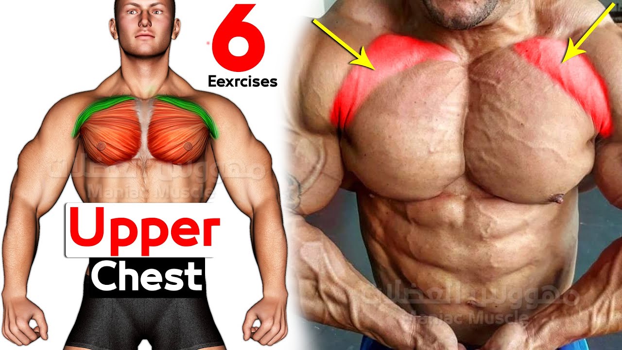 6 ЛУЧШИХ УПРАЖНЕНИЙ «ВЕРХНЯЯ ГРУДЬ» ? смотреть онлайн