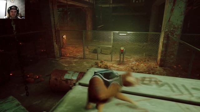Та самая игра про кота STRAY Прохождение #5 Крыши смотреть онлайн